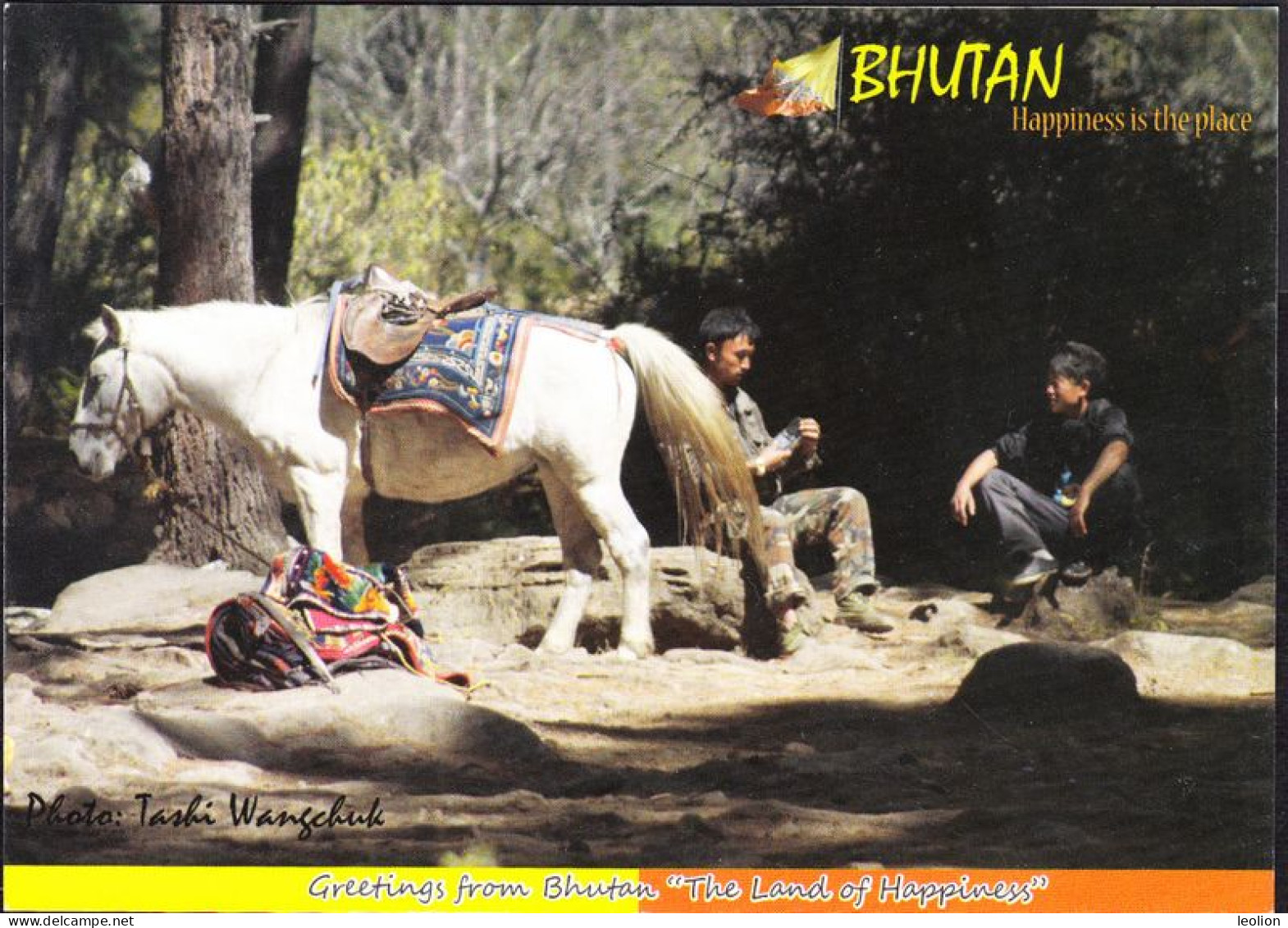 BHUTAN Mule Mammal Fauna Tashi Picture Postcard BHOUTAN - Bhoutan