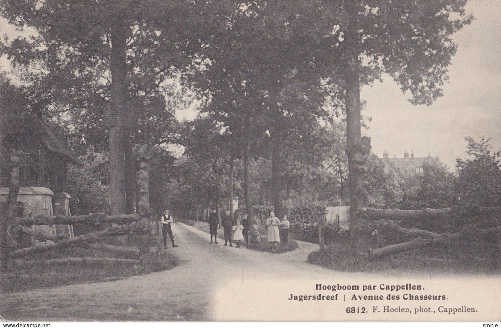 HOOGBOOM 1914 JAGERSDREEF / AVENUE DES CHASSEURS - HOELEN KAPELLEN 6812 - Kapellen