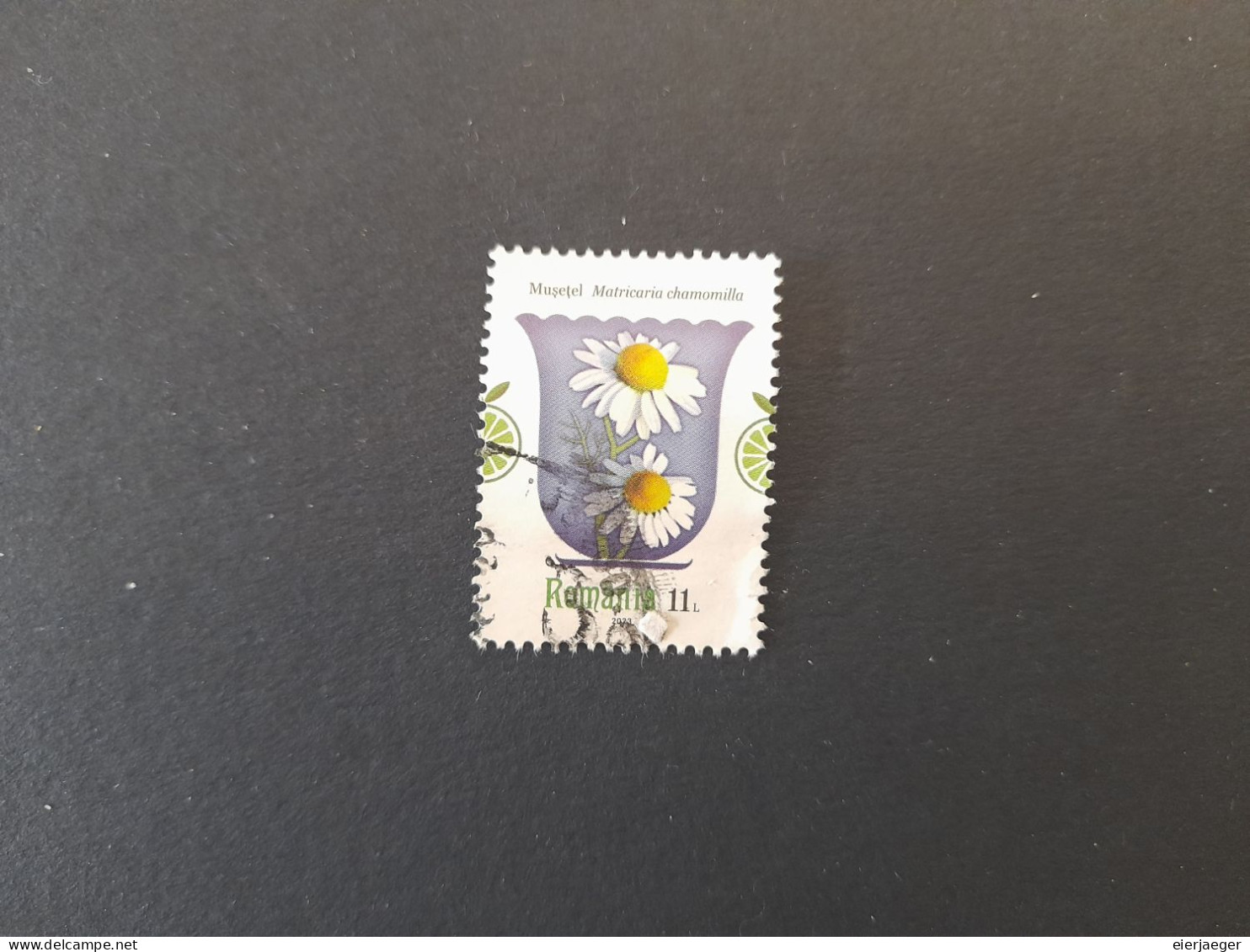 Rumänien 2023 Mi-Nr. 8135 Gestempelt - Used Stamps