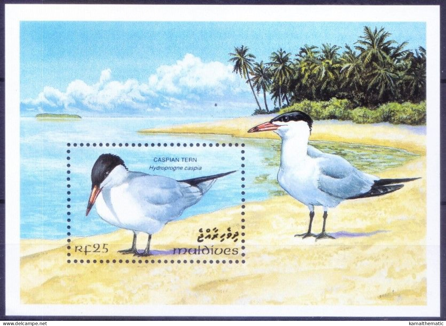 Maldives 1993 MNH MS, Caspian Tern (Hydroprogne Caspia), Sea Birds - Albatros