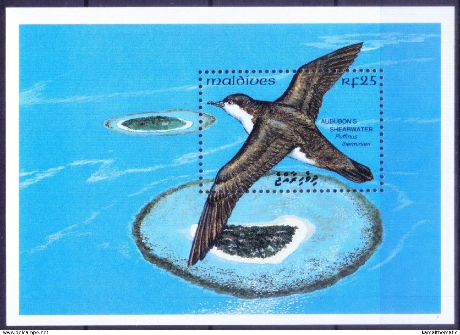 Maldives 1993 MNH MS, Shearwater Seabird Gulls, Birds - - Albatros