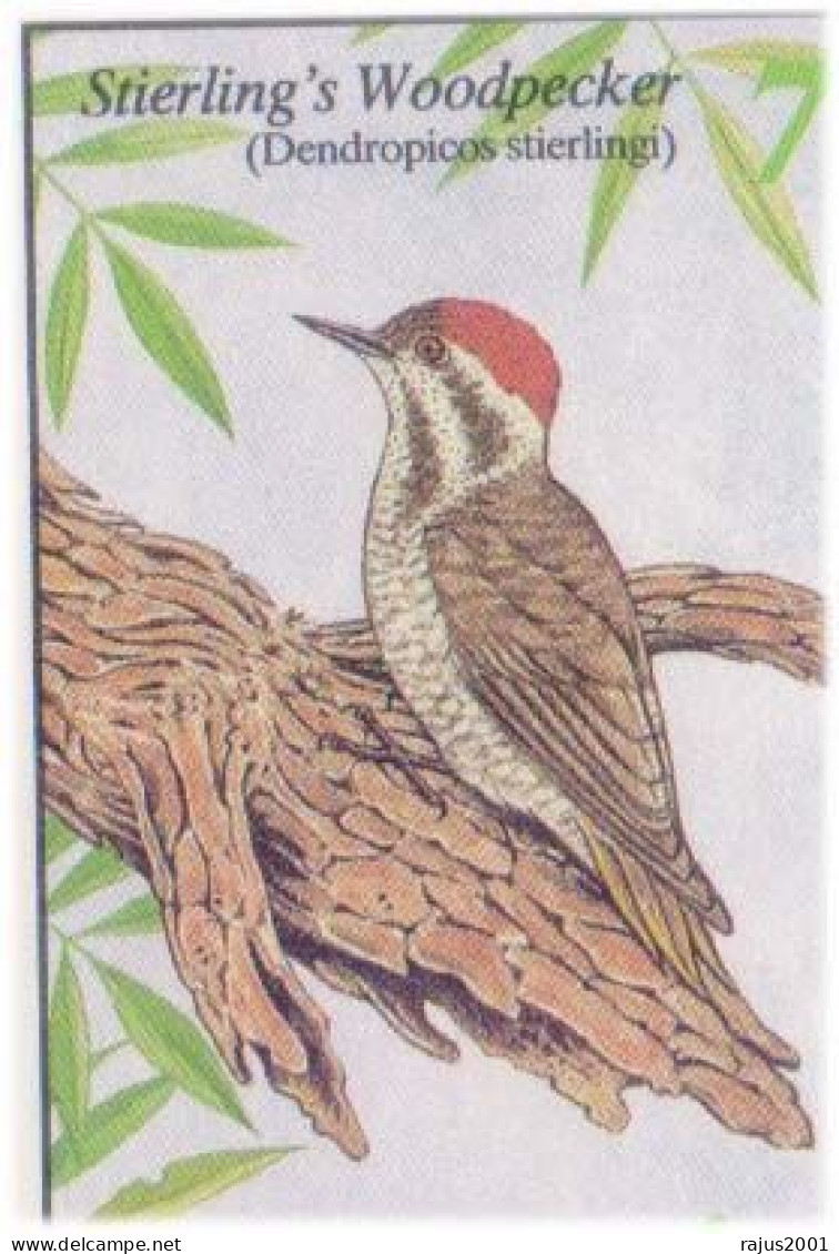 J.J. Audubon's Birds Of The World, Woodpecker, Seed Cracker, Bee Eater, Ground Dove, Birds, Bird, Animal, Malawi FDC - Meeuwen