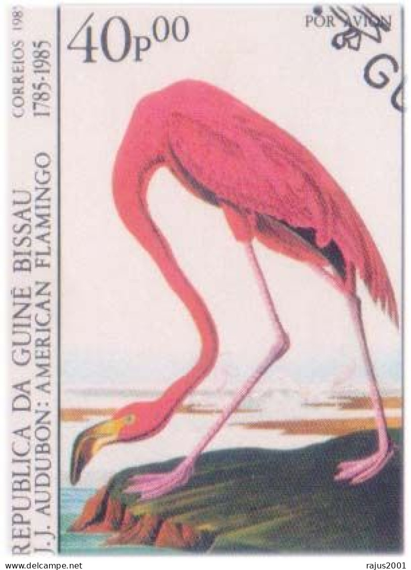 J.J. Audubon's Birds Of The World, Flamingo, Blue Heron, Brown Pelican, Golden Crowned, Birds, Bird, Animal, Guinea FDC - Flamencos