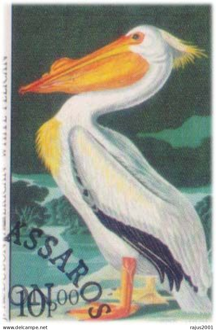 J.J. Audubon's Birds Of The World, Flamingo, Blue Heron, Brown Pelican, Golden Crowned, Birds, Bird, Animal, Guinea FDC - Flamingo's