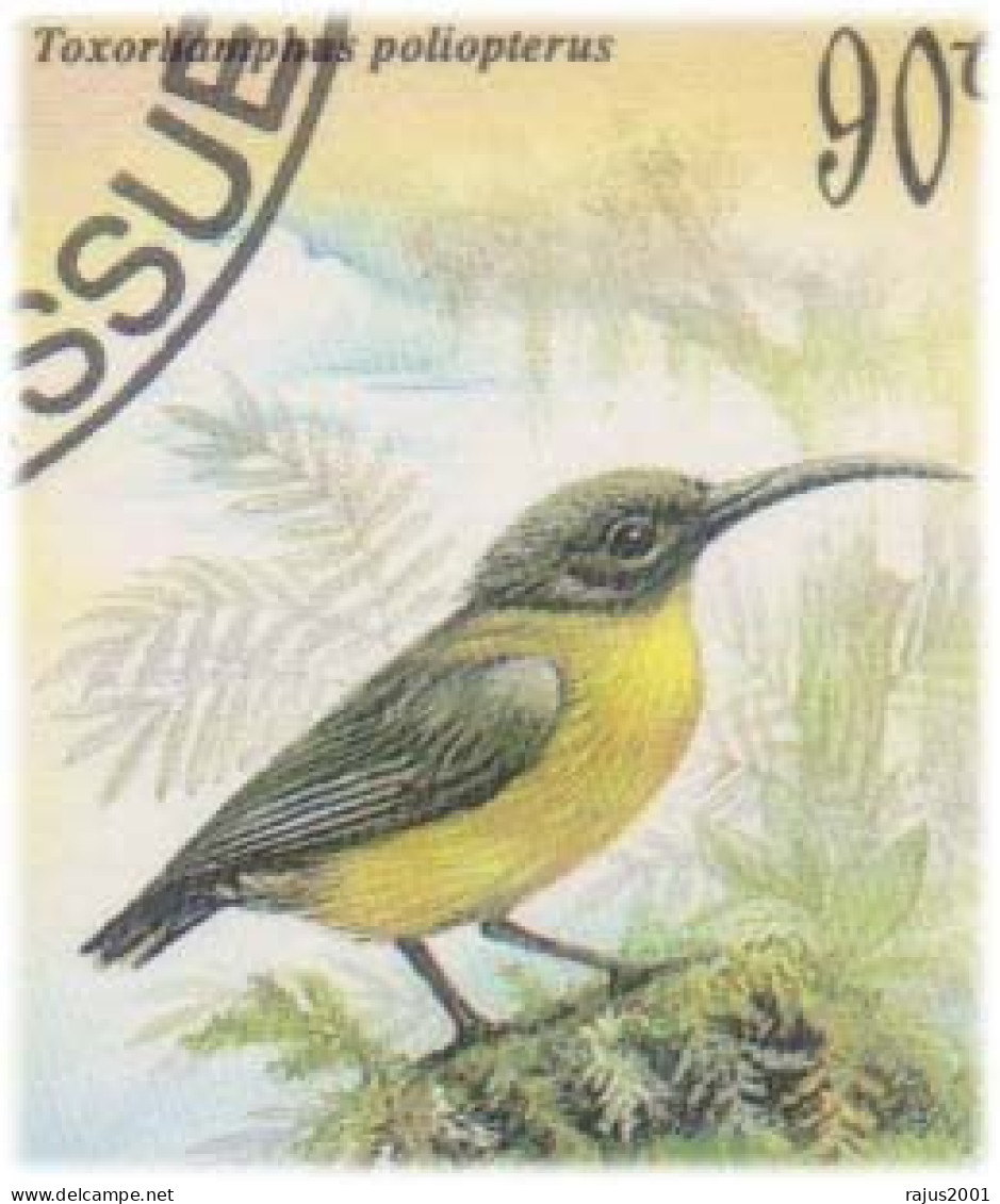 Small Birds, Orange Crowned Fairywren, Superb Pitta, Slaty Headed Longbill, Birds, Bird, Animal, New Guinea FDC - Passeri