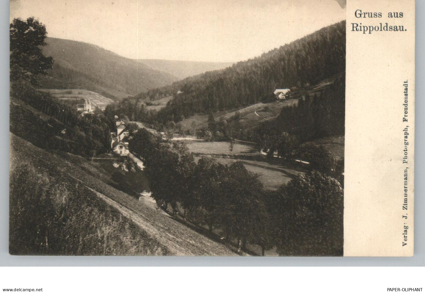 7624 BAD RIPPOLDSAU, Gruss Aus... Blick Auf Den Ort, Ca. 1906 / 07 - Bad Rippoldsau - Schapbach