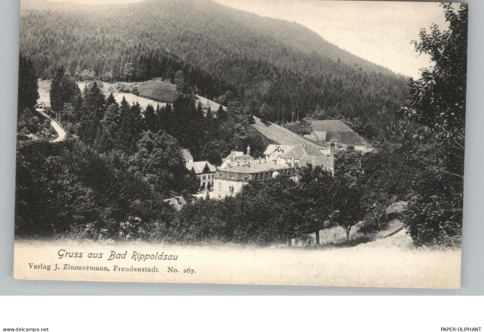 7624 BAD RIPPOLDSAU, Gruss Aus... Blick Auf Den Ort, Ca. 1905 - Bad Rippoldsau - Schapbach