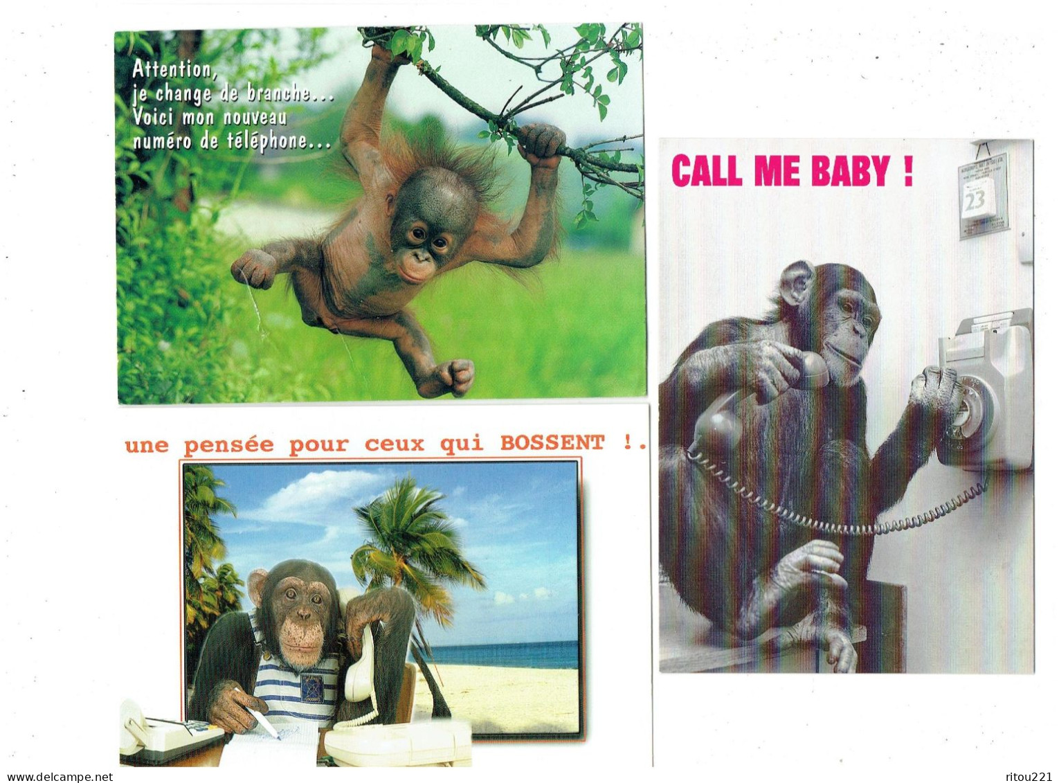 Lot 3 Cpm - Humour - Singe Chimpanzé - Téléphone éphéméride Calculatrice - Singes