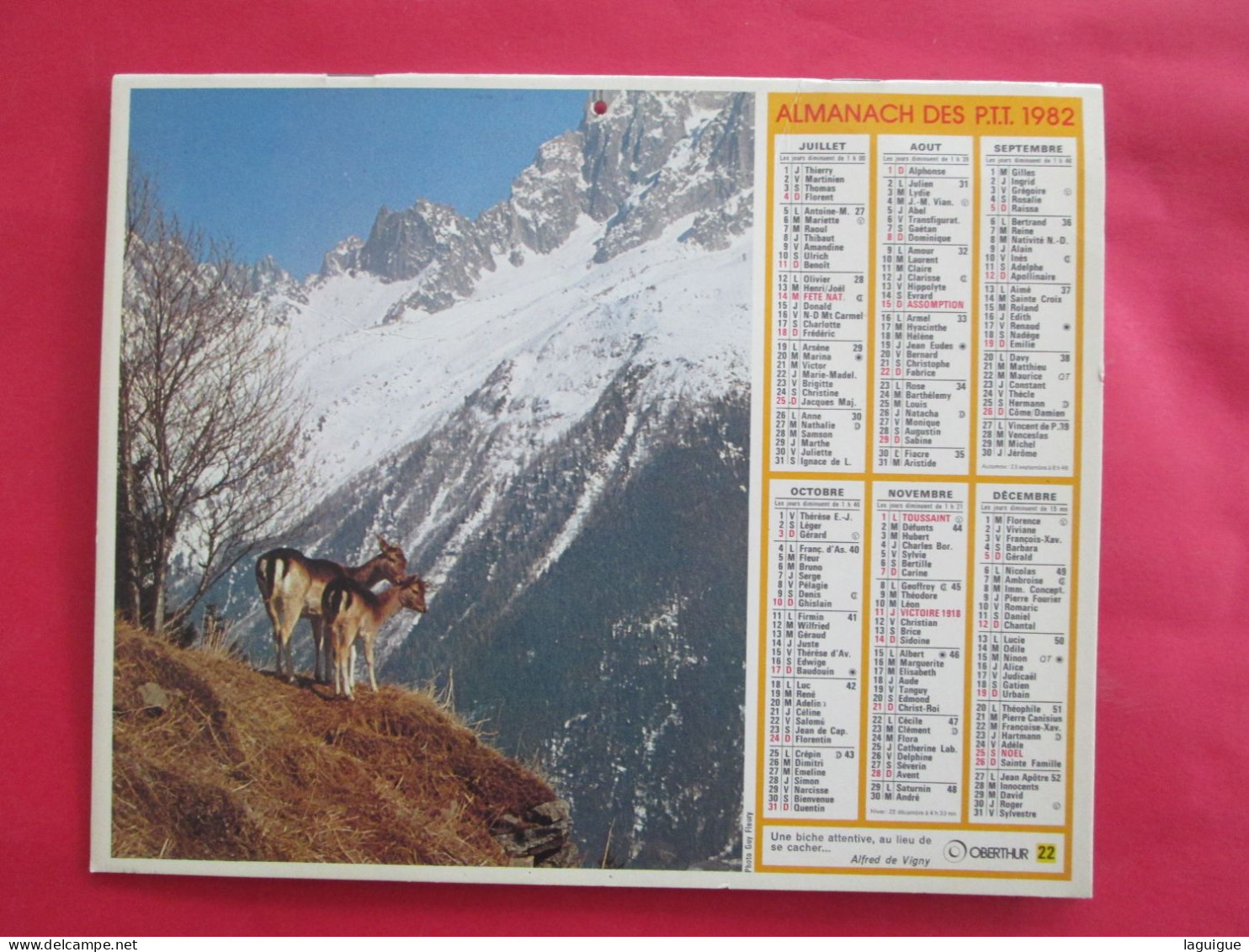 CALENDRIER ALMANACH 1982 BICHES BORD D'ETANG  OBERHUR - Tamaño Grande : 1981-90