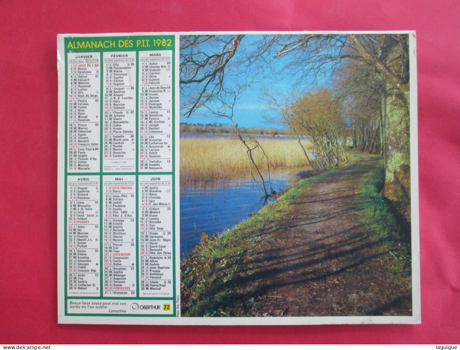 CALENDRIER ALMANACH 1982 BICHES BORD D'ETANG  OBERHUR - Groot Formaat: 1981-90