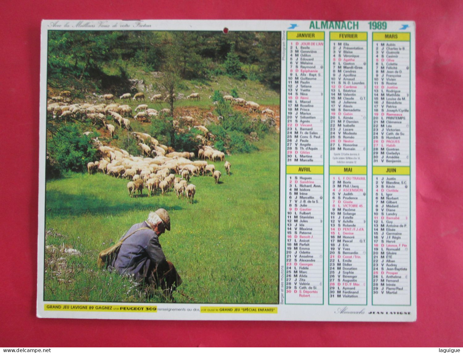 CALENDRIER ALMANACH 1989 BERGER ET SES MOUTONS POMMIERS EN FLEURS LAVIGNE - Tamaño Grande : 1981-90