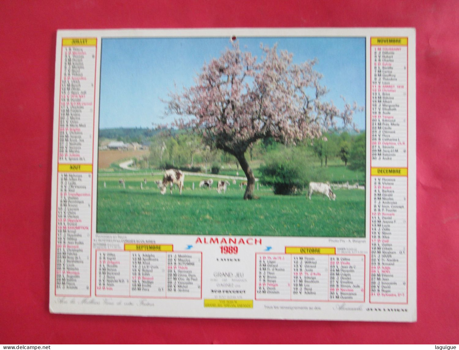 CALENDRIER ALMANACH 1989 BERGER ET SES MOUTONS POMMIERS EN FLEURS LAVIGNE - Big : 1981-90