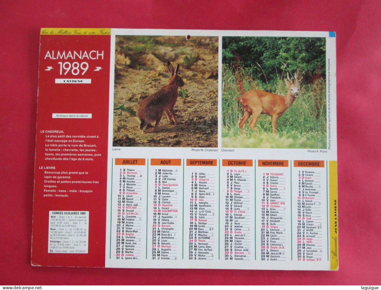 CALENDRIER ALMANACH 1989  LIEVRE  CHEVREUIL BRUANT JAUNE AVOCETTE LAVIGNE - Grossformat : 1981-90