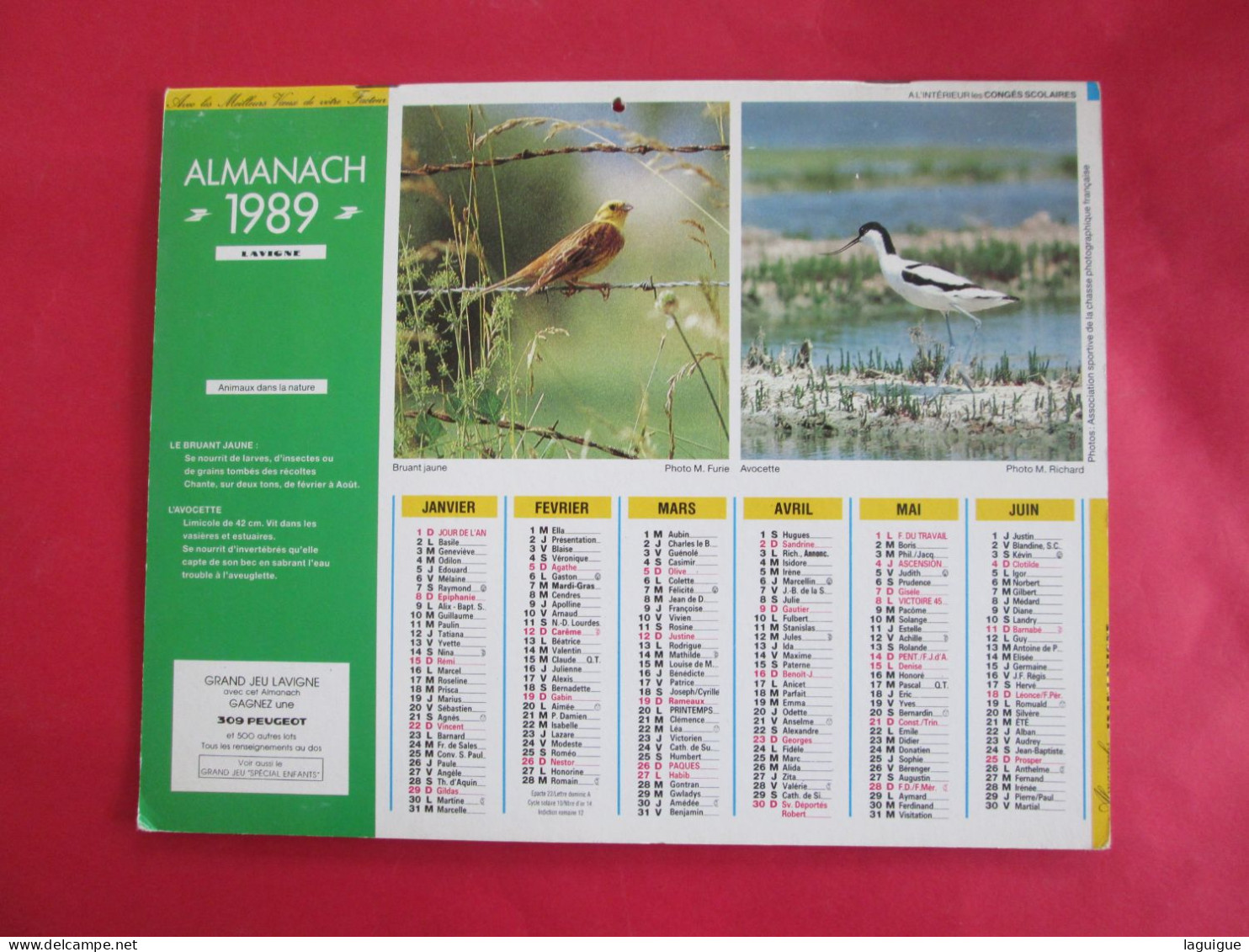 CALENDRIER ALMANACH 1989  LIEVRE  CHEVREUIL BRUANT JAUNE AVOCETTE LAVIGNE - Grand Format : 1981-90