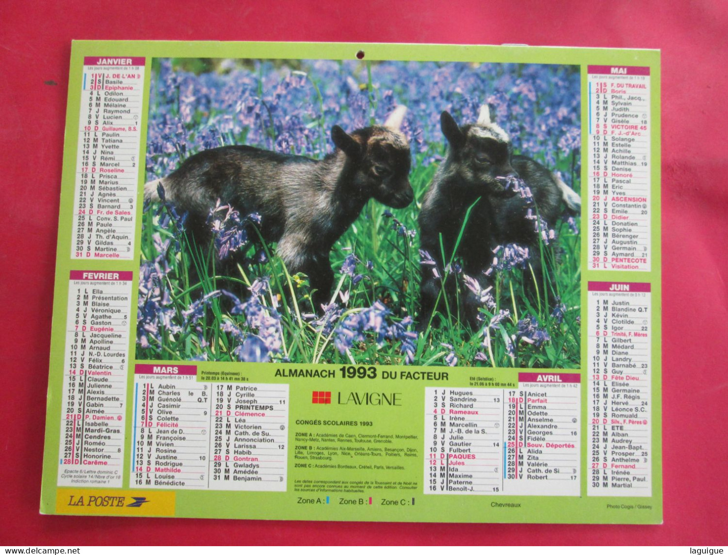 CALENDRIER ALMANACH 1993 OIES ET OISONS CHEVRAUX LAVIGNE - Grand Format : 1991-00