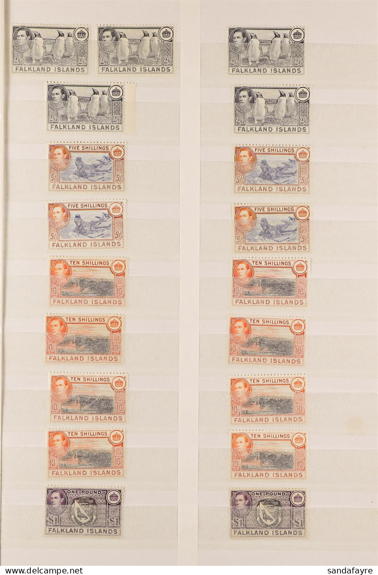 KING GEORGE VI MINT / NEVER HINGED On Stock Book Pages, Includes 1938-50 Pictorials With Shades And Multiples To 2s6d (5 - Falkland