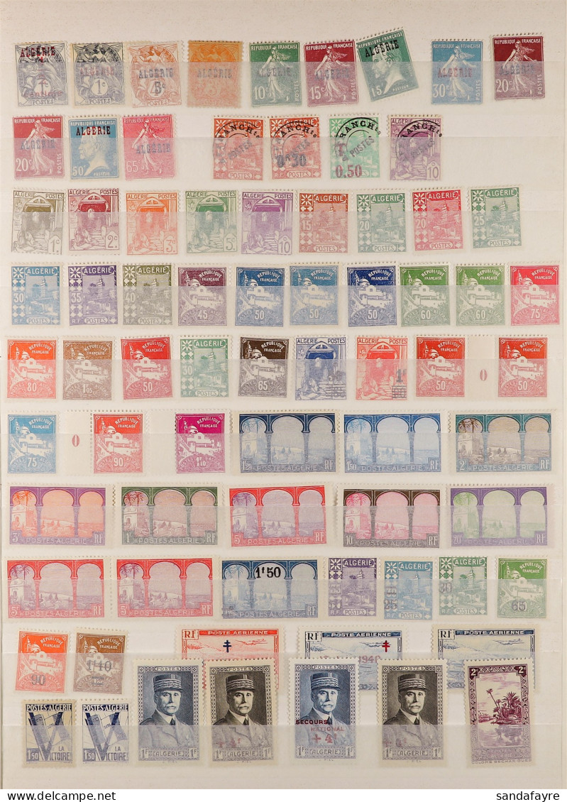 ALGERIA 1924 - 1956 NEVER HINGED MINT COLLECTION On Stock Book Pages, Chiefly Very Fine (325+ Stamps) - Other & Unclassified