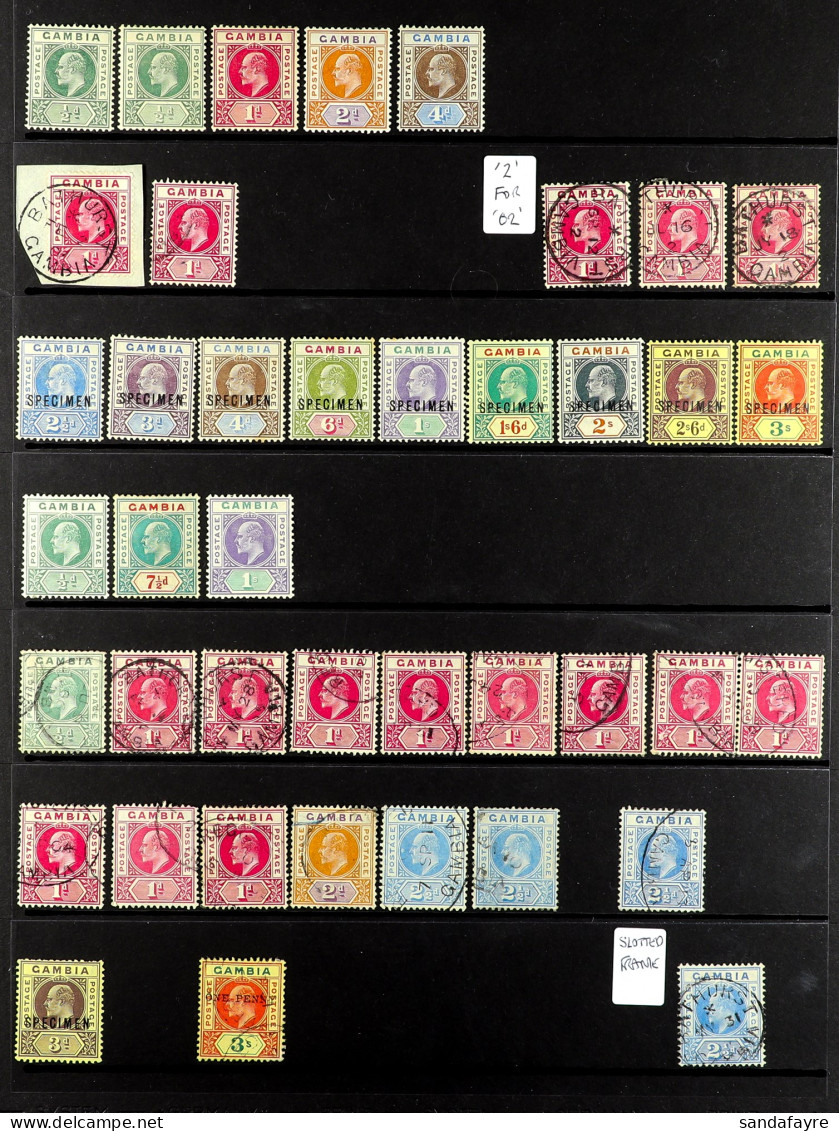1902 - 1909 COLLECTION Of Mint & Used Stamps On Black Protective Pages (approx 60 Stamps) - Gambie (...-1964)