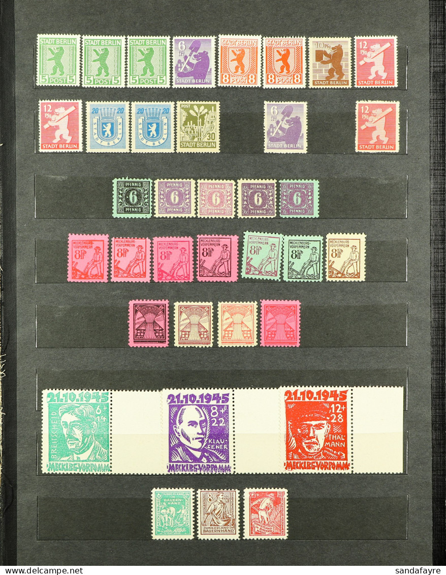 RUSSIAN ZONE 1945 - 1946 NEVER HINGED MINT COLLECTION With Some Specialisation, Berlin-Brandenburg, Mecklenburg-Vorpomme - Sonstige & Ohne Zuordnung