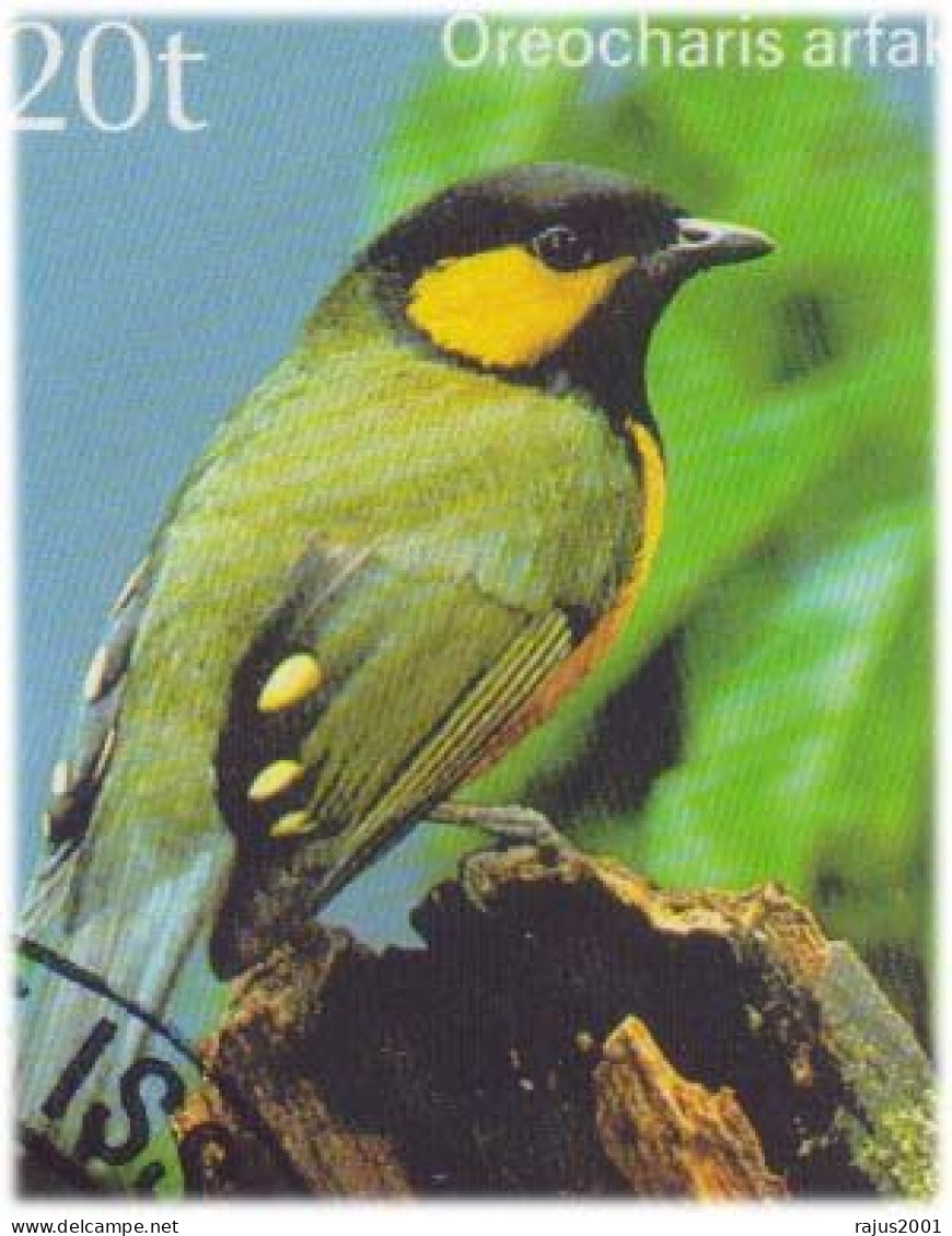 Tit Berrypecker, Blue Capped Ifrit, Large Scrubwren Bird Species, Birds, Bird, Animal, New Guinea FDC - Cernícalo