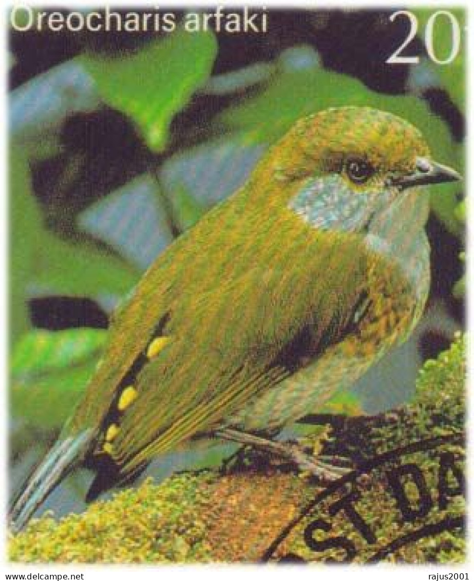 Tit Berrypecker, Blue Capped Ifrit, Large Scrubwren Bird Species, Birds, Bird, Animal, New Guinea FDC - Moineaux