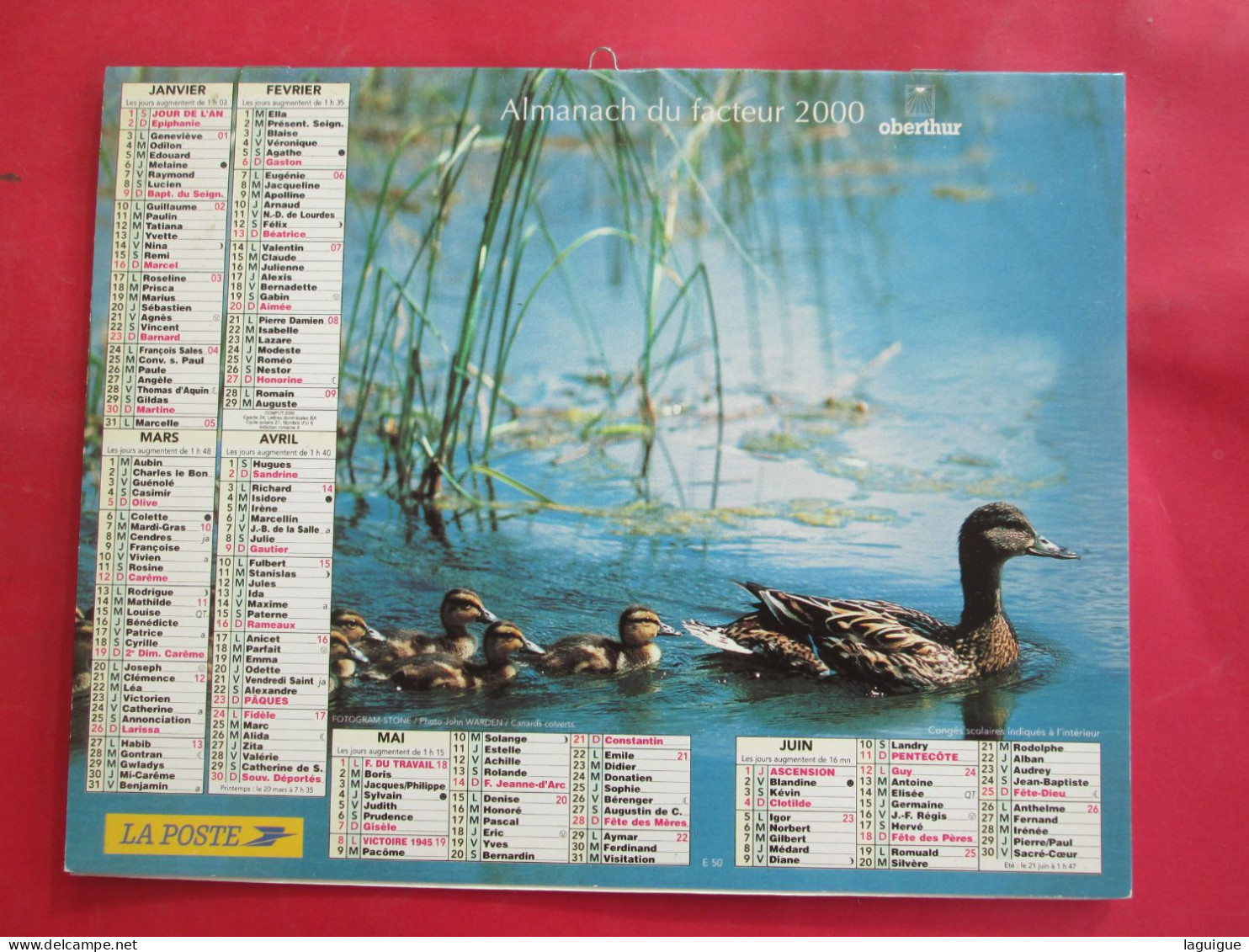 CALENDRIER ALMANACH 2000 CANARDS COLVERTS OBERTHUR - Grossformat : 1991-00