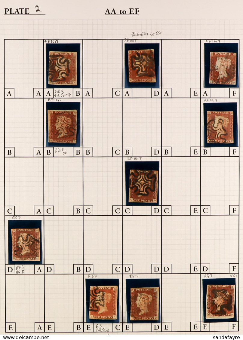 1841 'BLACK PLATE' 2. A Collection Of 50 Different Positions Of The 1d Red-brown Imperfs From Plate 2 Arranged On Specia - Autres & Non Classés
