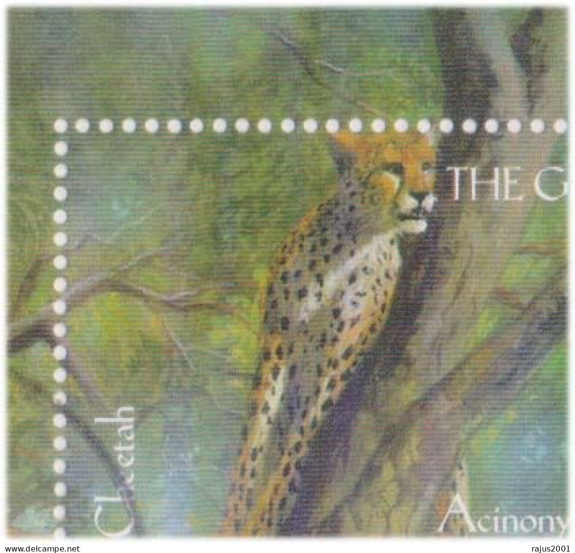 Animals In A Game Reserve, Cheetah, Black Rhinoceros, Giant Eland, Bontebok, Chimpanzee, Wild Animal, Mammals, Sheet FDC - Rinocerontes