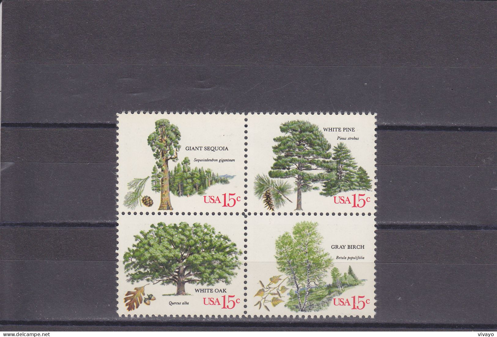 USA - ETATS UNIS - ** / MNH - 1978 - AMERICAN TREES -   Sc. 1764/7 -  Mi. 1364/7 - Unused Stamps