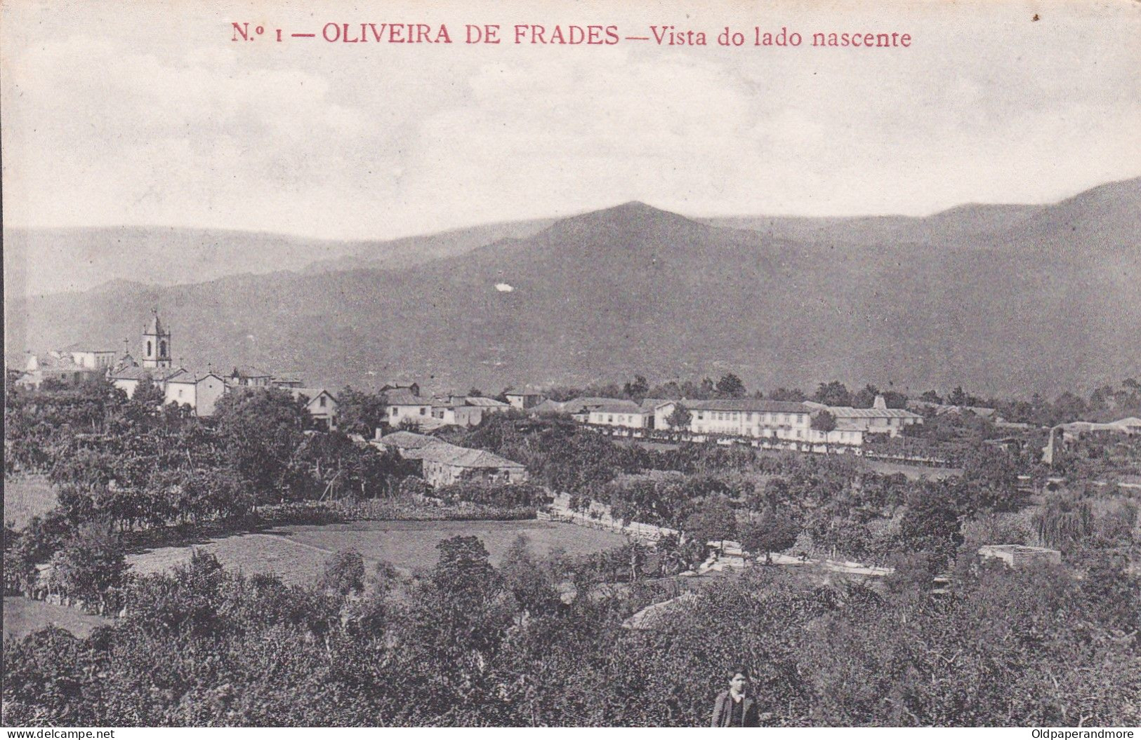 POSTCARD PORTUGAL - OLIVEIRA DE FRADES - VISTA LADO NASCENTE - Viseu