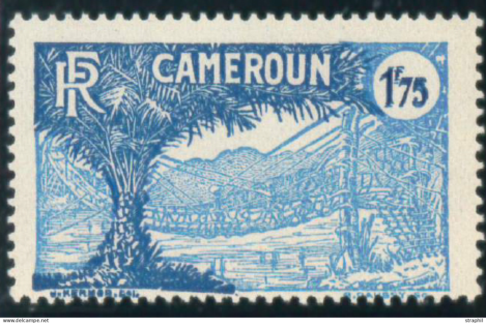 ** CAMEROUN - Other & Unclassified