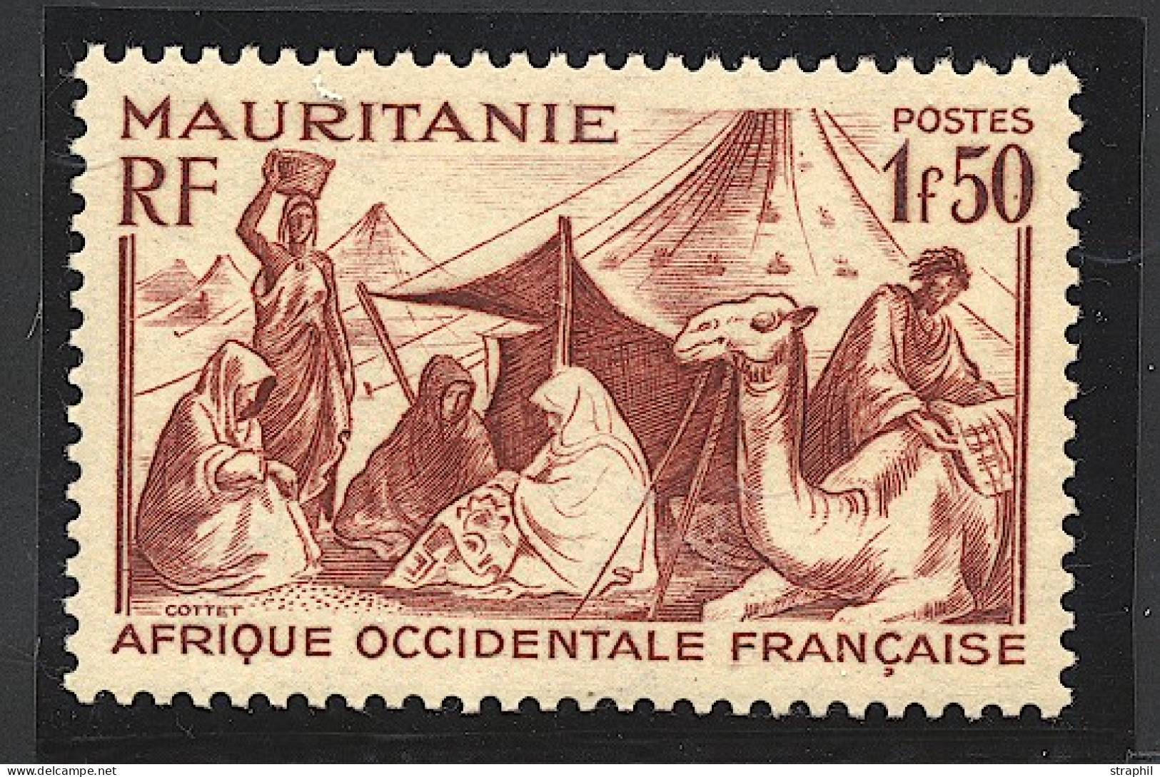 ** MAURITANIE - Autres & Non Classés