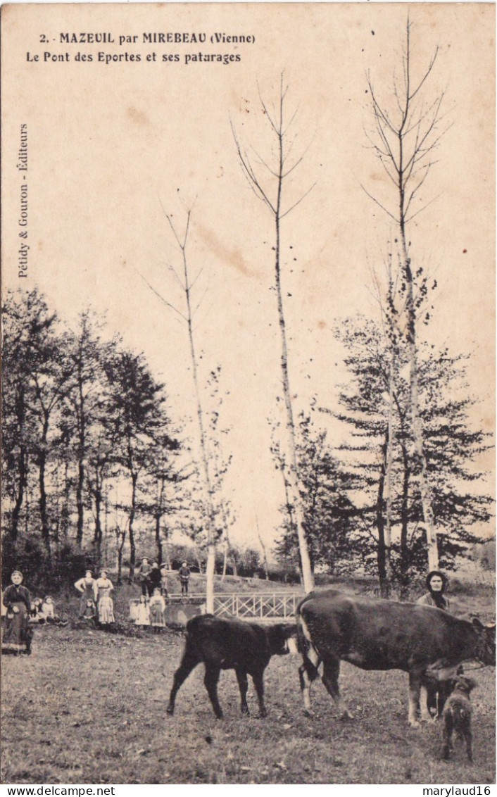 Mazeuil Par Mirebeau Le Pont Des Eportes Et Ses Paturages - Mirebeau