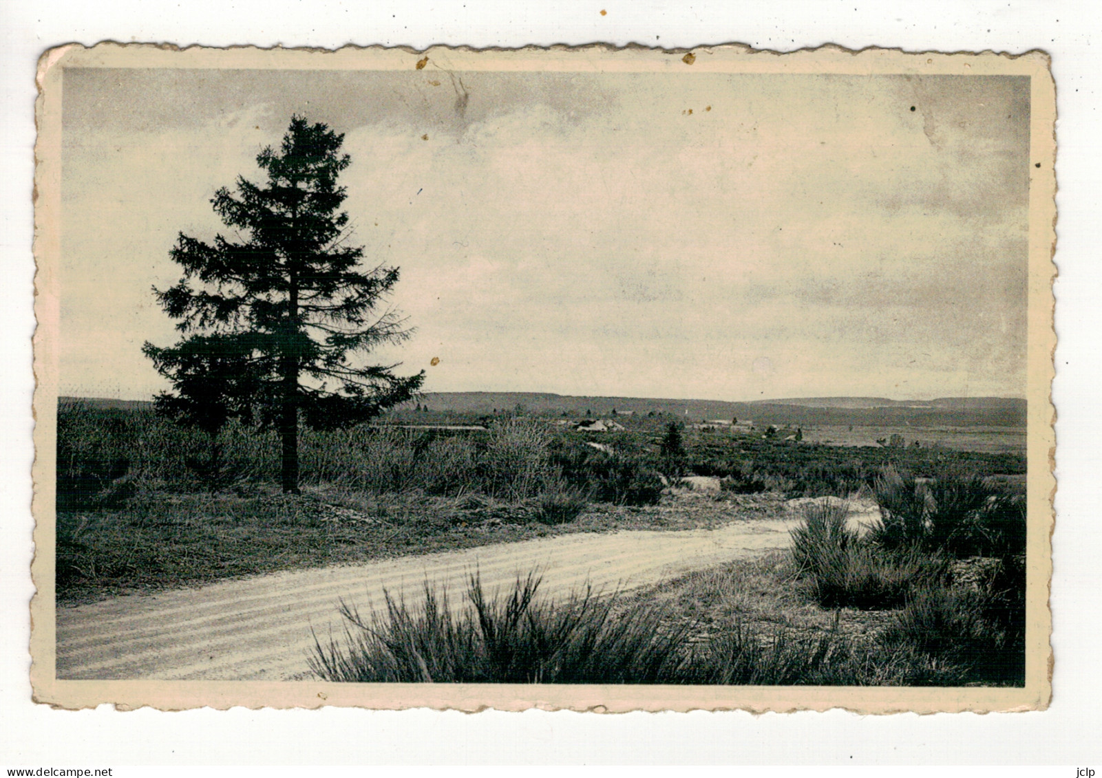 BUTGENBACH - Camp - Vue Sur La Plaine. - Butgenbach - Bütgenbach