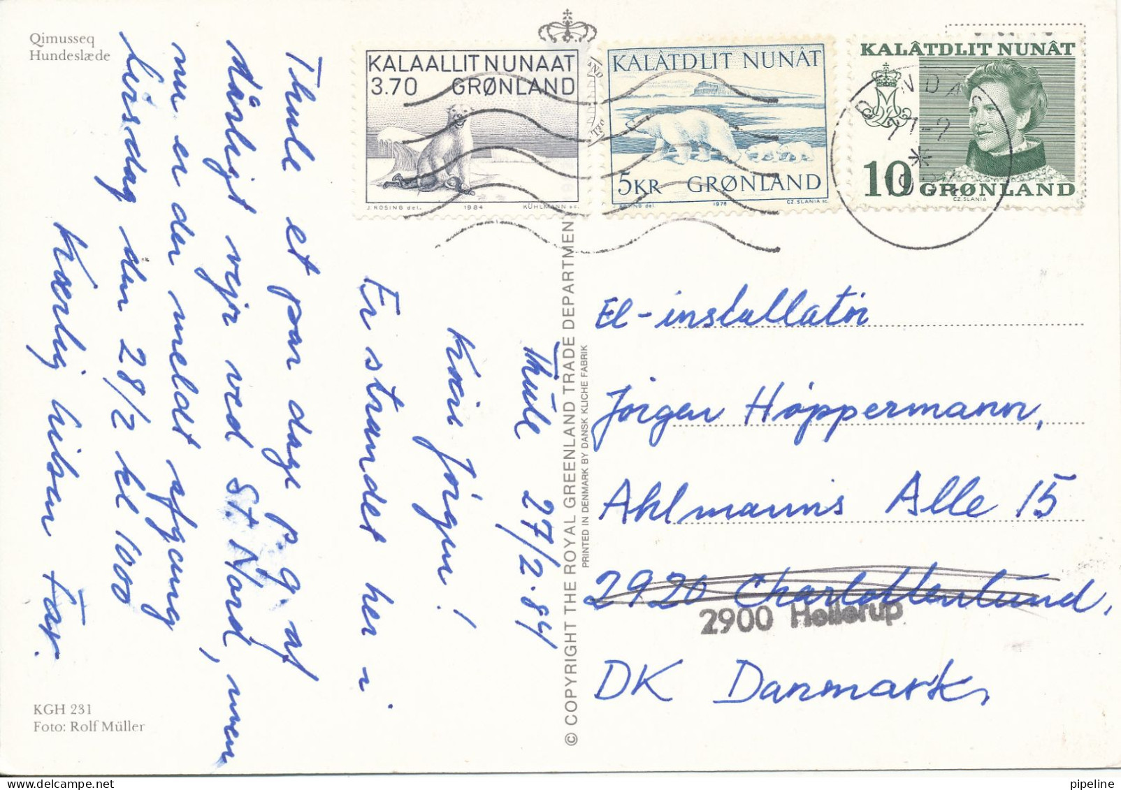 Greenland Postcard Sent To Denmark Dundas 27-2-1984 Dog Sled - Groenlandia