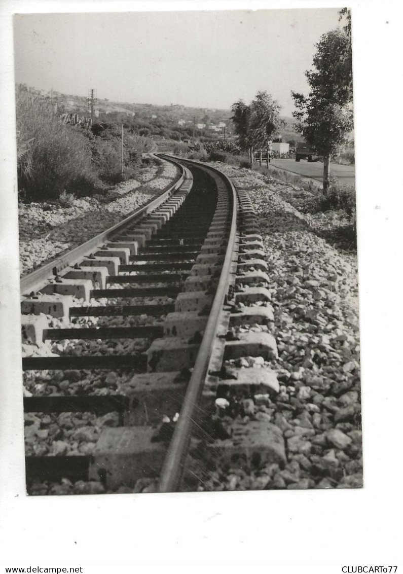 Beyrouth (Liban) : La Voie De Chemin De Fer Moderne De La Ligne De Tripoli En 1950 GF . - Liban