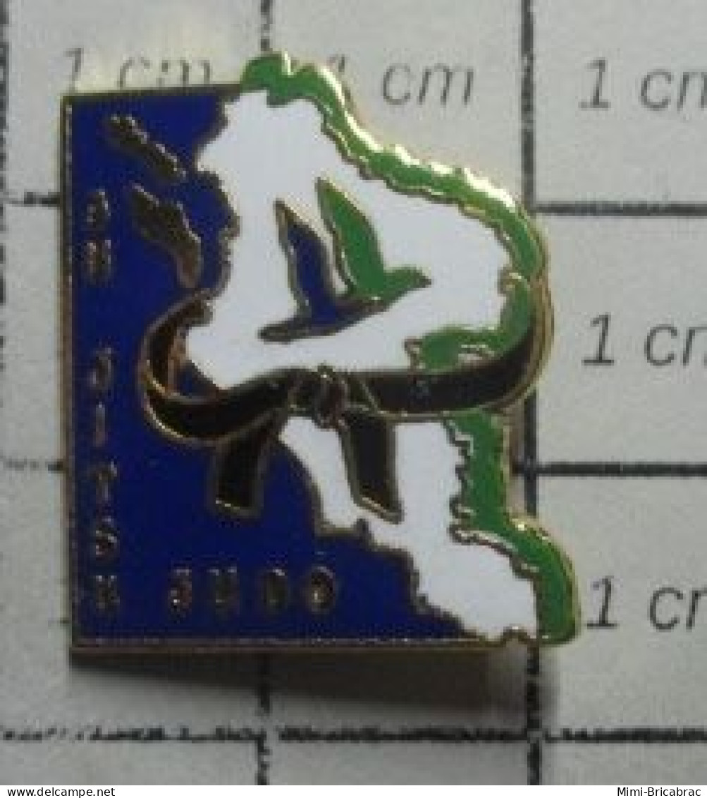 412D Pin's Pins / Beau Et Rare / SPORTS /  JU JITSU JUDO CHARENTE MARITIME - Judo