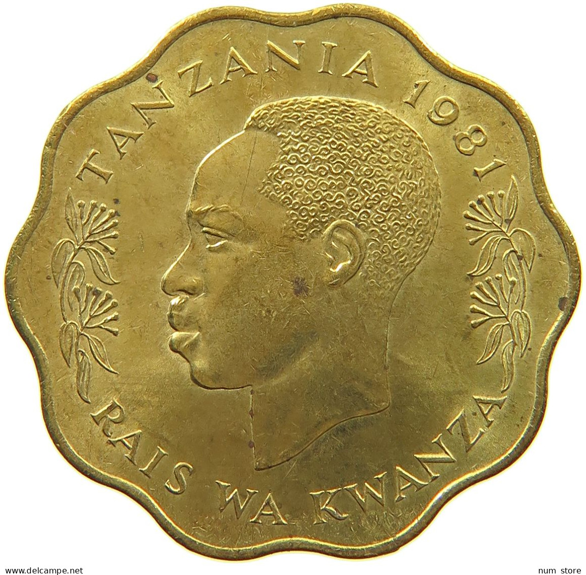 TANZANIA 10 SENTI 1981  #a074 0095 - Tanzania