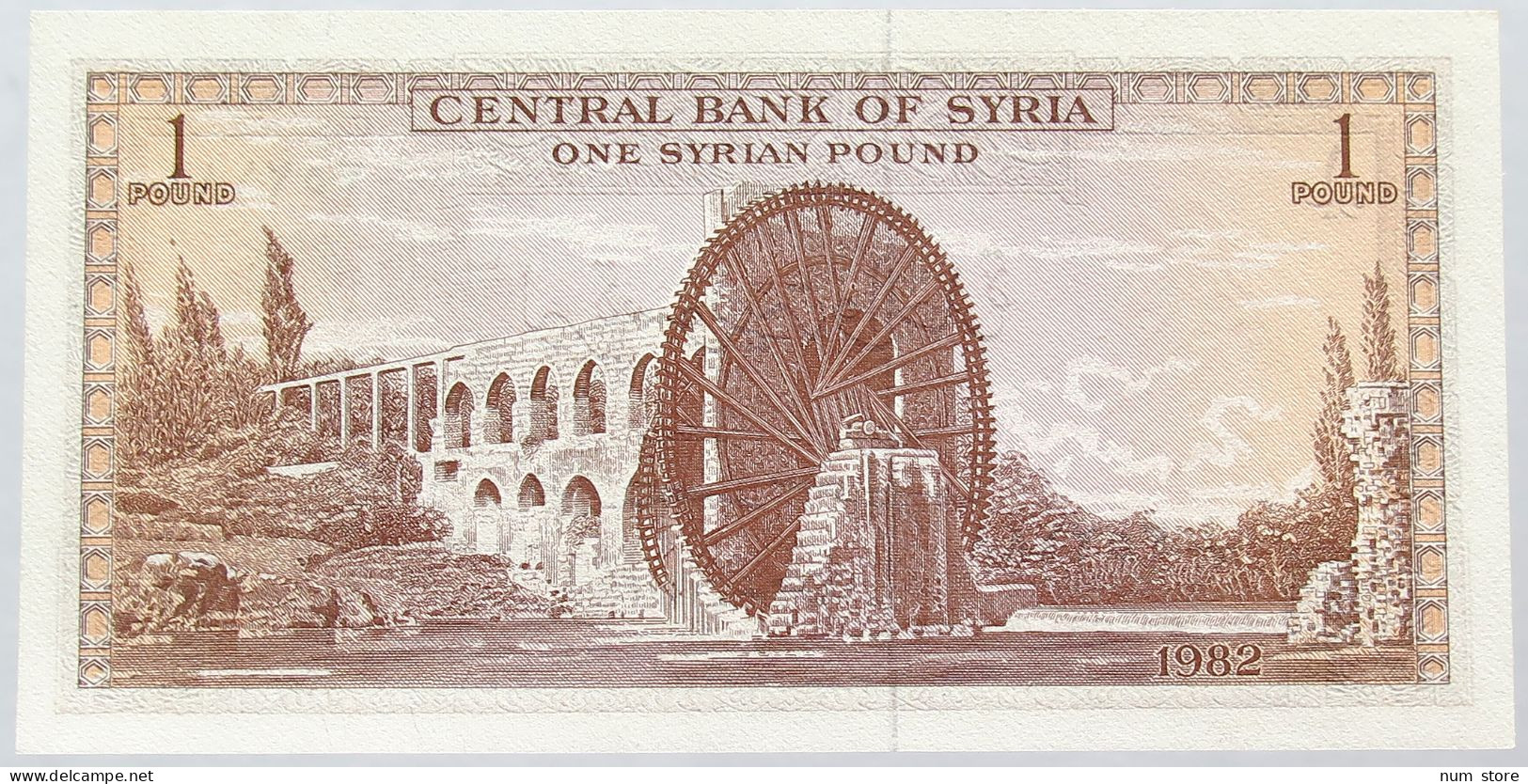 SYRIA POUND 1982  #alb016 0571 - Syria