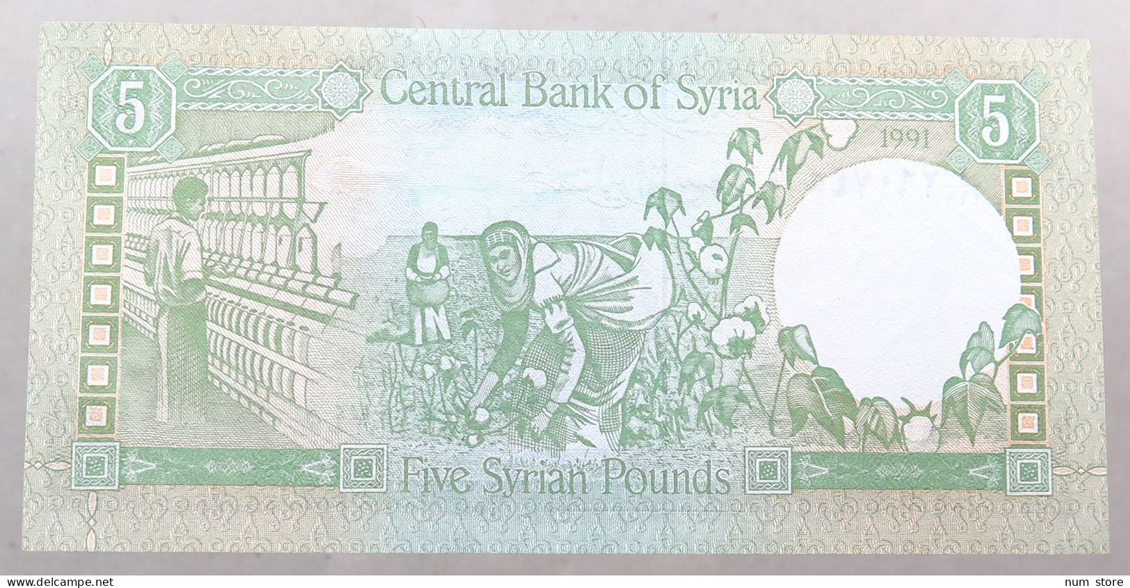 Syria 5 Pounds 1991  #alb052 0997 - Syrien