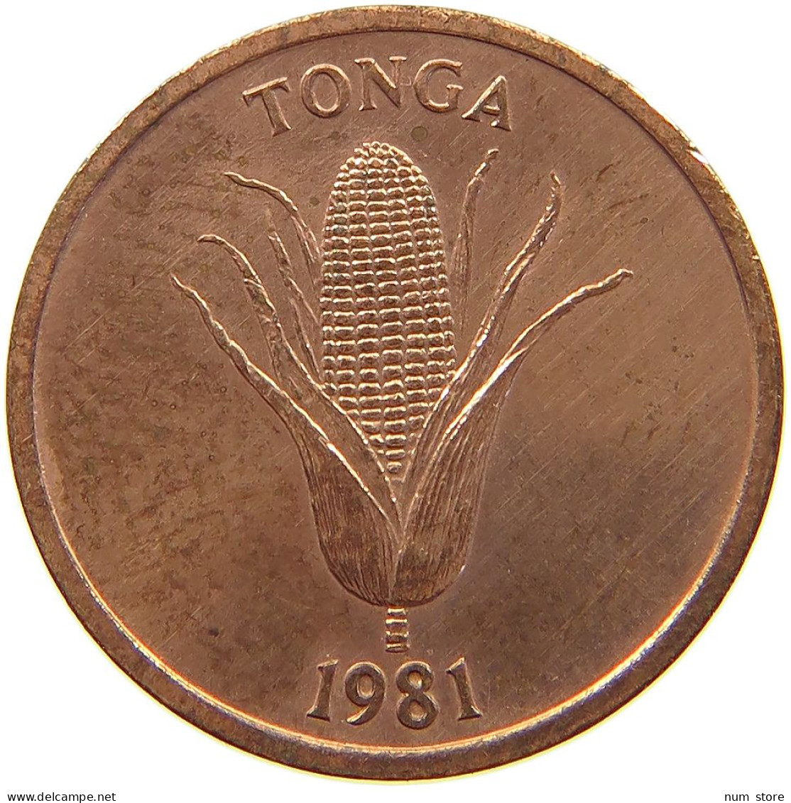TONGA SENITI 1981  #a063 0421 - Tonga