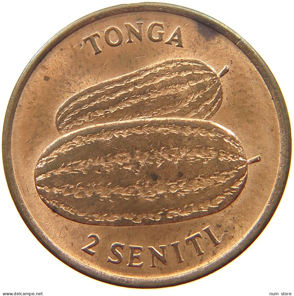 TONGA 2 SENITI 1975  #s051 0711 - Tonga