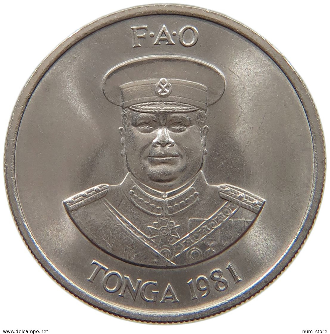 TONGA 10 SENITI 1981 FAO #c015 0403 - Tonga