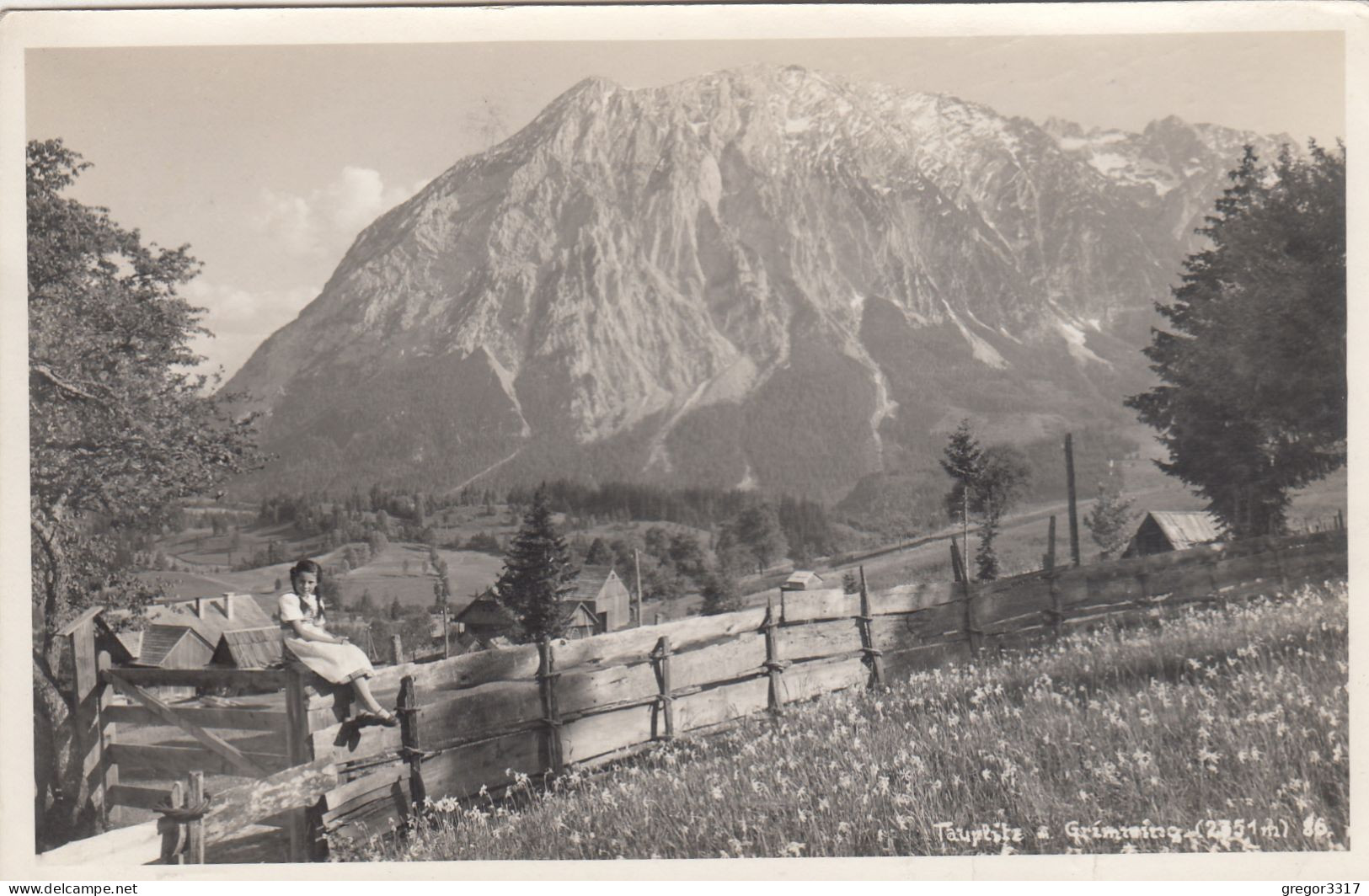 D7843) TAUPLITZ -  Steiermark - Kleines Mädchen In Kleid Auf Zaun Mit Blumenwiese U. Grimming 1953 - Tauplitz