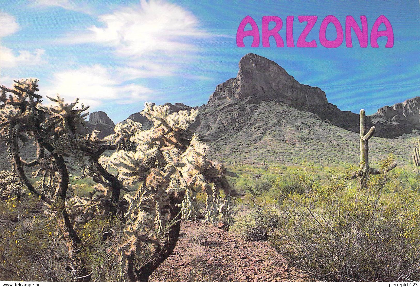 Pinal - Picacho Peak - Andere & Zonder Classificatie