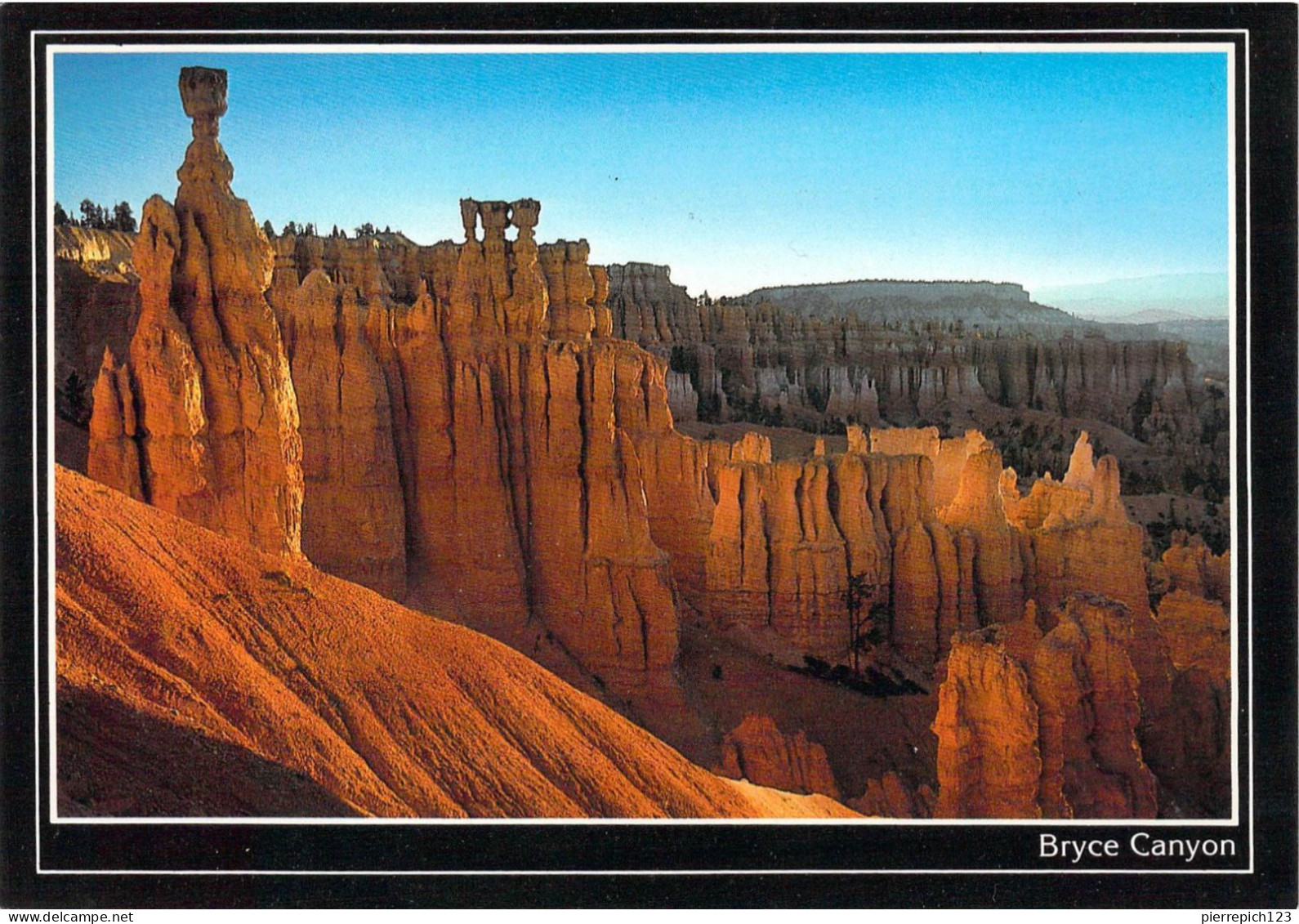 Bryce Canyon - Rock Glow Au Parc National De Bryce Canyon - Bryce Canyon