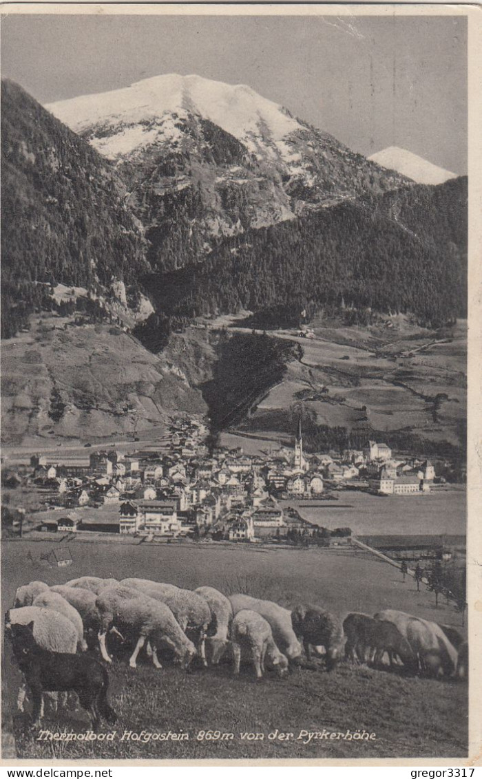 D7956) BAD HOFGASTEIN - Von Der Pyrkerhöhe Mit Schafen Im Vordergrund 1931 - Bad Hofgastein