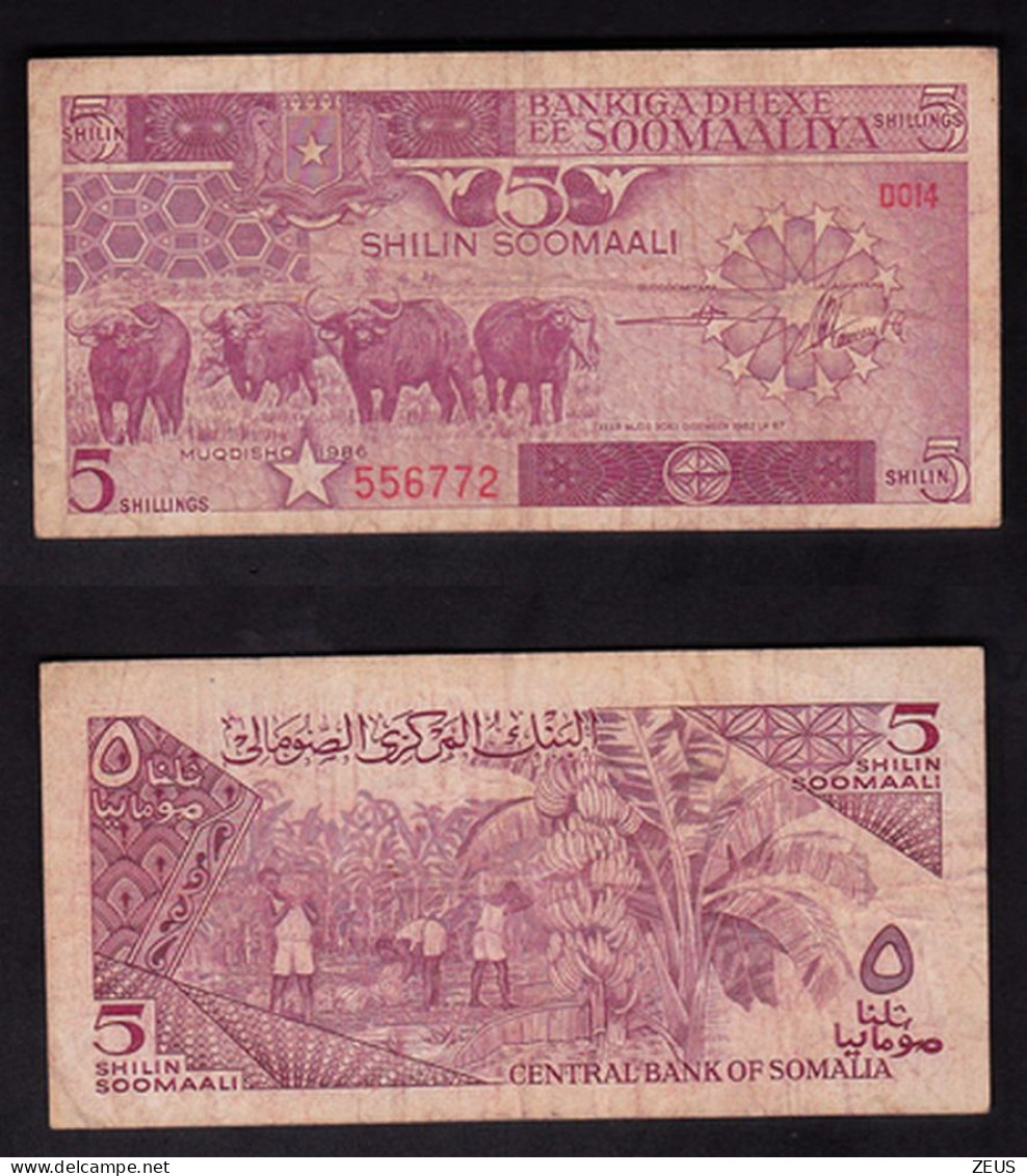 SOMALIA 5 SHILLING 1986 PIK 31B BB - Somalia