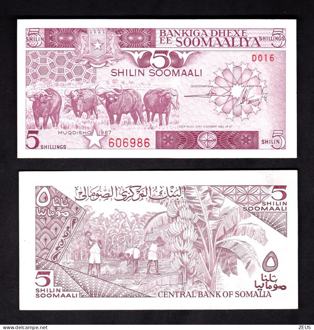 SOMALIA 5 SHILLING 1987 PIK 31C QFDS - Somalia