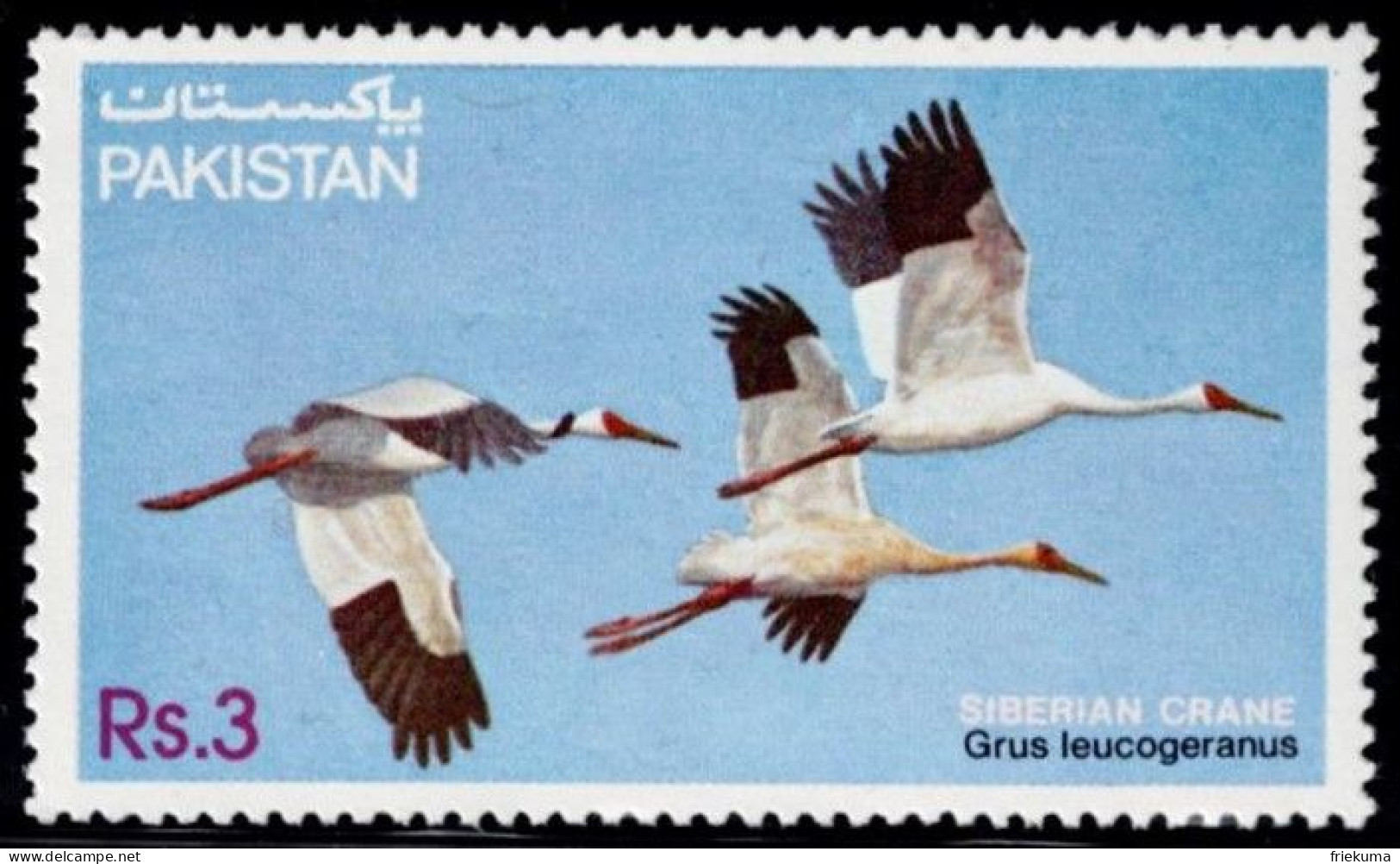 Pakistan 1983, Vögel/Birds/Oiseaux: Nonnenkranich/Barn Crane/Grue Nonnette (Grus Leucogranus), MiNr. 593 - Grues Et Gruiformes